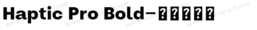 Haptic Pro Bold字体转换